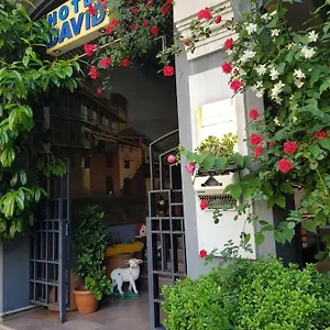 3* Hotel David - Ethno Style